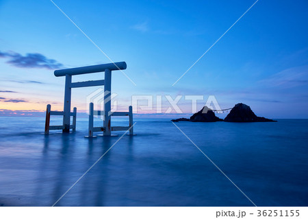 桜井二見ヶ浦の夫婦岩 36251155