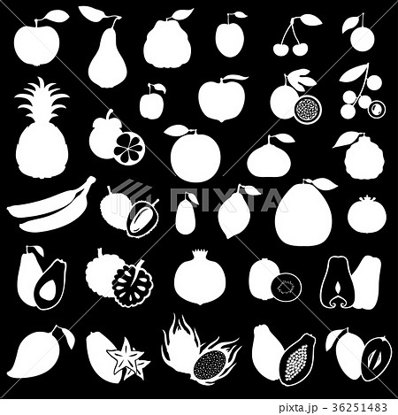 Fruits set image on black background 36251483