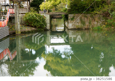 柳川の街並み 柳川の街並み 36251586