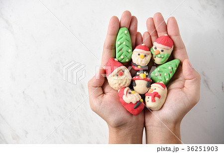 Female hands holding Christmas cookies. 36251903