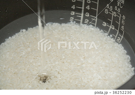 炊飯器　水に浸したお米 36252230
