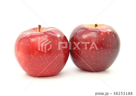 リンゴ（北紅） 36253188