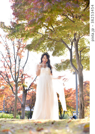 花嫁 公園 紅葉 36253454