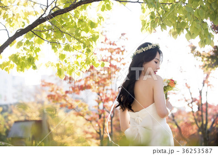 花嫁 屋外 紅葉 36253587