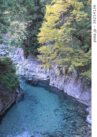 阿寺渓谷犬帰りの淵 36254136