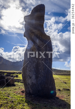 Moai statue, ahu Tongariki, easter island 36254442