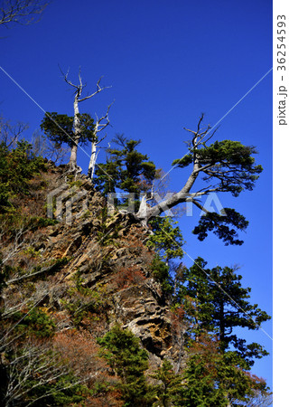 石鎚山の山景色 石鎚山の山景色 36254593