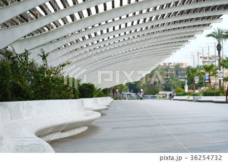 Promenade of Torrevieja 36254732