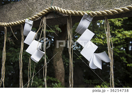 神社のしめ縄と紙垂の写真素材