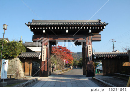 金戒光明寺 金戒光明寺 36254841