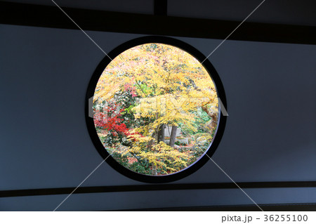 源光庵 悟りの窓 源光庵 悟りの窓 36255100