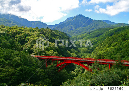 八ヶ岳高原ライン東沢大橋 36255694