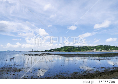 沖縄 沖縄 36255700