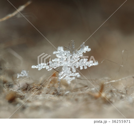 Macro of snowflakes on burlap 36255971