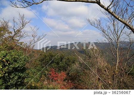 六甲山の秋 六甲山の秋 36256067