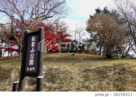 紅葉山公園 36256321