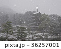 雪の日の瑠璃光寺五重塔 36257001