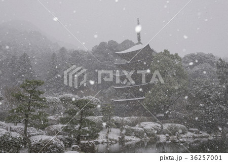 雪の日の瑠璃光寺五重塔 36257001