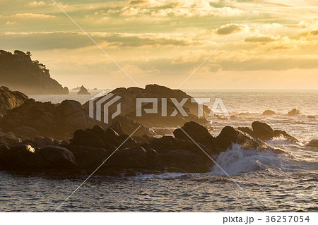 Nice detail of the Spanish coast in Costa Brava, Nice detail of the Spanish coast in Costa Brava, 36257054