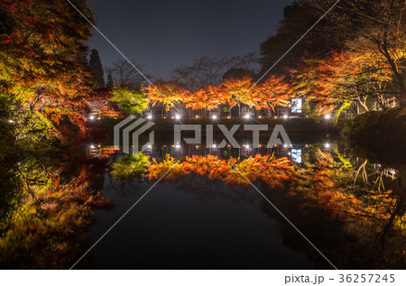 穴弘法の紅葉 穴弘法の紅葉 36257245