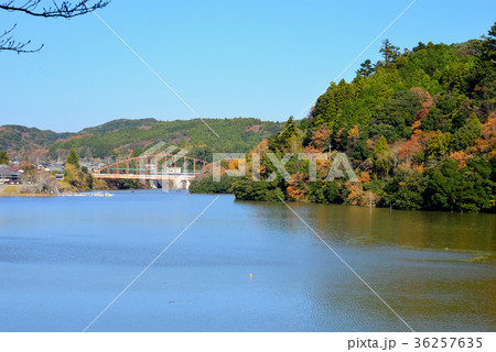 亀山湖 36257635