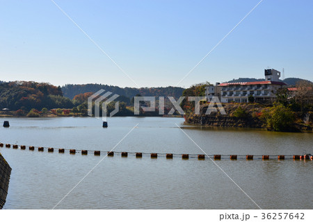 亀山湖 36257642