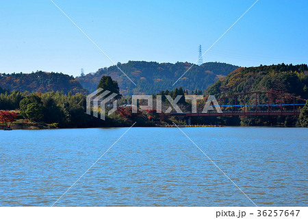 亀山湖 36257647