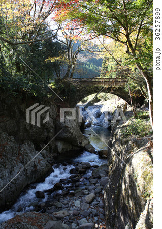 奥耶馬渓の神秘エリア　魔林狭 36257899