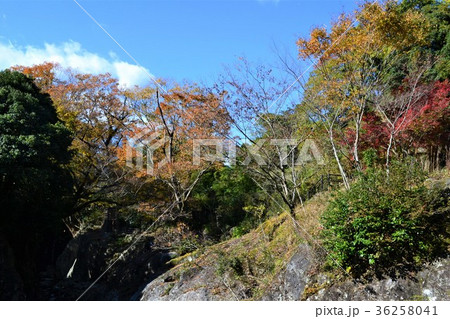 奥耶馬渓の神秘エリア　魔林狭 36258041