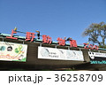 上野動物園 36258709