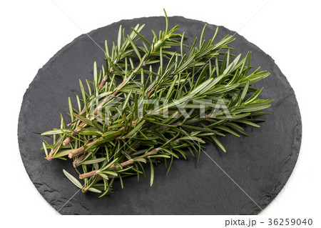ローズマリーの葉 フレッシュハーブ Rosemary Leaf Herbsの写真素材