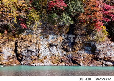 岩畳からの風景 36259342