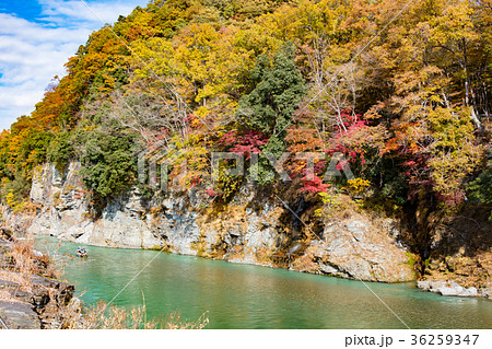 長瀞（荒川） 36259347