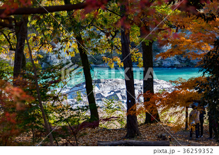 月の石もみじ公園 月の石もみじ公園 36259352