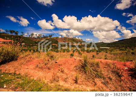 Landscape of Stony Brown Hill with Poor Vegetation 36259647