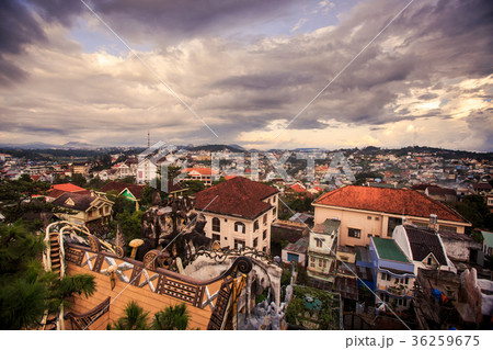 Modern Hotel-tree among Neighbouring Buildings Modern Hotel-tree among Neighbouring Buildings 36259675