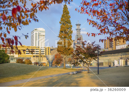 いこいの道の紅葉と大分駅 いこいの道の紅葉と大分駅 36260009