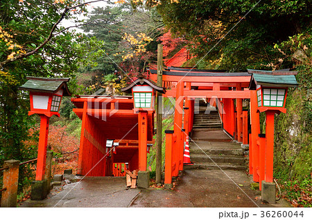 太鼓谷稲成神社の千本鳥居の写真素材