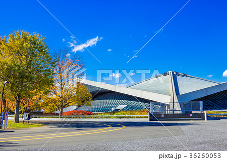 東京 駒沢オリンピック公園 体育館と紅葉 東京 駒沢オリンピック公園 体育館と紅葉 36260053