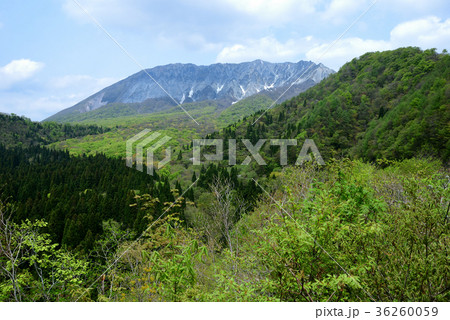 鍵掛峠から大山南壁 36260059