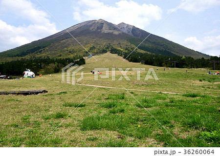 大山西山麓に広がる桝水高原 大山西山麓に広がる桝水高原 36260064