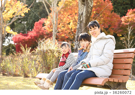 紅葉と家族 紅葉と家族 36260072