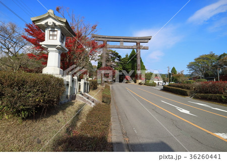 霧島神宮　大鳥居 36260441