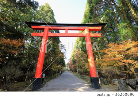 霧島神宮　二の鳥居 36260696