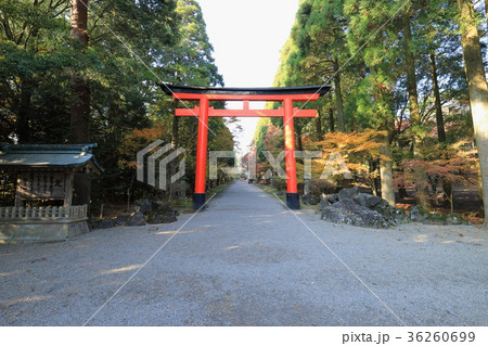 霧島神宮　二の鳥居 36260699