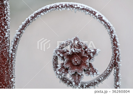 Close-up of frost particles 36260804