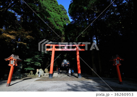 霧島神宮　三の鳥居 36260953