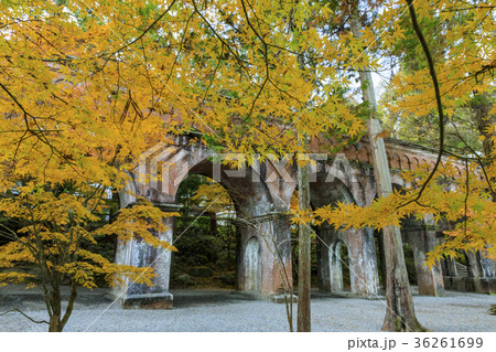 南禅寺　紅葉 36261699