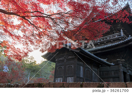 南禅寺　紅葉 36261700