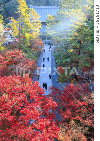 南禅寺　紅葉 36261713